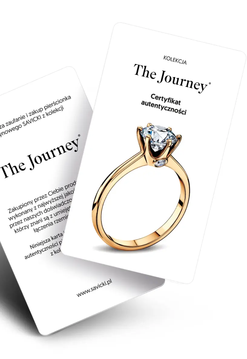 The Journey